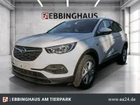 Gebraucht Opel Grandland X Selection 131 PS (96 kW) 2020 Weiss SUV
