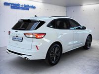 Gebraucht Ford Kuga ST-Line X 120 PS (88 kW) 2023 Frozen white SUV