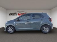 Neu Kia Picanto Vision 68 PS (50 kW) 2025 (a2g) adventurous green Kleinwagen