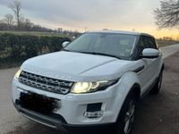 gebraucht Land Rover Range Rover evoque 2.2 eD4 Pure Pure