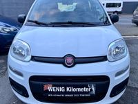 gebraucht Fiat Panda Pop1,2l*AC*PDC*HHC*CityServo*HU/NEU*2.HAND