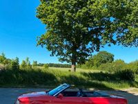 Gebraucht Audi Cabriolet Sport 150 PS (110 kW) 1992 Rot Cabrio