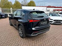 Gebraucht Lexus NX300h 197 PS (144 kW) 2020 Schwarz SUV