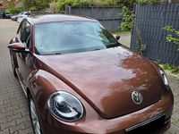 Gebraucht VW Beetle Allstar 150 PS (110 kW) 2016 Braun Kleinwagen