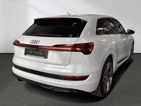 Gebraucht Audi e-tron Ambiente 230 kW (313 PS) 2022 Gletscherweiß metallic SUV
