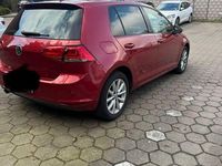 Gebraucht VW Golf VII Allstar 116 PS (85 kW) 2016 Rot Kombi