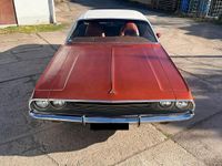 Usata Dodge Challenger 335 CV (246 kW) 1969 Marrone Coupé