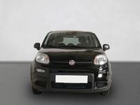 Gebraucht Fiat Panda 69 PS (50 kW) 2024 Schwarz Limousine