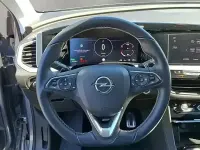 Gebraucht Opel Grandland X Elegance 224 PS (164 kW) 2023 Quarz silber (m2) SUV