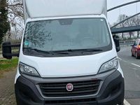 Gebraucht Fiat Ducato 180 PS (132 kW) 2021 Weiß Van