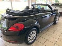 gebraucht VW Beetle Cabrio