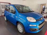 Neu Fiat Panda Icon 69 PS (50 kW) 2025 Blau Kleinwagen