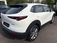 Gebraucht Mazda CX-30 Selection 122 PS (89 kW) 2020 Weiß SUV