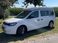 Gebraucht VW Caddy Maxi 114 PS (83 kW) 2024 Candyweiß Van / Kleinbus