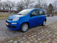 Neu Fiat Panda 71 PS (52 kW) 2025 Blau Kleinwagen