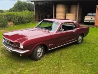 Gebraucht Ford Mustang 120 PS (88 kW) 1966 Rot Coupé