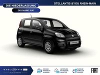 Neu Fiat Panda Icon 65 PS (47 kW) 2026 Schwarz Kleinwagen
