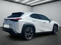 Gebraucht Lexus UX 250h Executive Line 184 PS (135 kW) 2023 Weiß SUV