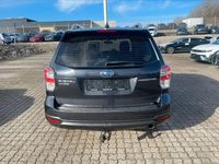 Gebraucht Subaru Forester Trend 150 PS (110 kW) 2019 Grau SUV