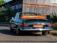 Gebraucht Mercedes 250 SE 231 PS (169 kW) 1967 Grün Cabrio