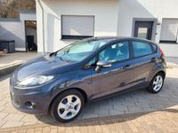 Gebraucht Ford Fiesta 82 PS (60 kW) 2011 Grau Kleinwagen