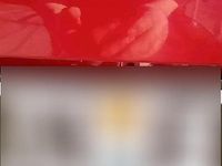 Gebraucht Ford Windstar 155 PS (114 kW) 1996 Rot Van / Kleinbus