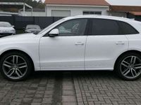 gebraucht Audi SQ5 3.0 TDI B&O/21"/Pano/ACC/8xAlu/DAB/R-Cam/AHK