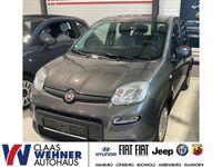 Gebraucht Fiat Panda 69 PS (50 kW) 2023 Colore esterno (colosseo grau) Limousine