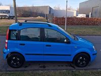Gebraucht Fiat Panda 53 PS (38 kW) 2004 Blau Kleinwagen