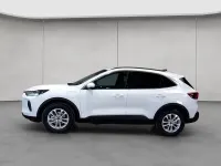 Neu Ford Kuga Titanium 152 PS (111 kW) 2026 Weiß SUV