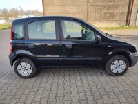 gebraucht Fiat Panda 1.1 8V Active TÜV & SERVICE NEU