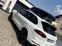 Gebraucht Porsche Cayenne Platinum Edition 262 PS (192 kW) 2018 Weiß SUV