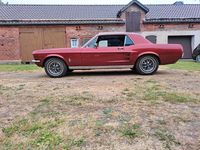 Gebraucht Ford Mustang 200 PS (147 kW) 1967 Rot Coupé