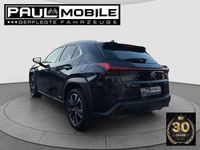 Gebraucht Lexus UX 250h 152 PS (111 kW) 2021 Graphite black gf SUV