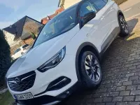 Gebraucht Opel Grandland X Design Edition 131 PS (96 kW) 2020 Weiß SUV