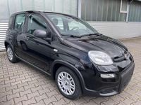 Gebraucht Fiat Panda 69 PS (50 kW) 2024 Cinema schwarz Kleinwagen