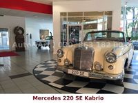 Gebraucht Mercedes 220 SE 120 PS (88 kW) 1960 Beige Cabrio