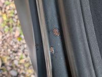 Gebraucht Citroën C4 Shine 99 PS (72 kW) 2016 Grau Limousine