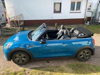 Gebraucht Mini Cooper Cabriolet 136 PS (100 kW) 2023 Blau Cabrio