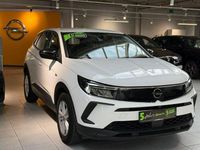 Gebraucht Opel Grandland X 131 PS (96 kW) 2022 Jade weiss/arktis weiss SUV