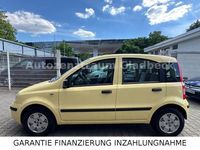 Gebraucht Fiat Panda Dynamic 60 PS (44 kW) 2009 Gelb Kleinwagen