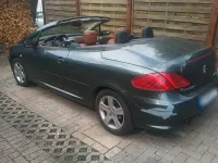 Gebraucht Peugeot 307 CC 136 PS (100 kW) 2004 Grün Cabrio