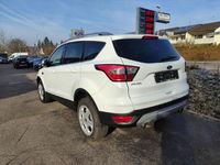 Gebraucht Ford Kuga Cool & Connect 150 PS (110 kW) 2019 Weiß SUV