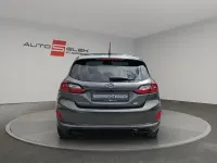 Gebraucht Ford Fiesta ST-Line X 125 PS (91 kW) 2023 Grau Kleinwagen