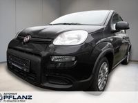 Neu Fiat Grande Panda 69 PS (50 kW) 2025 Schwarz Kleinwagen
