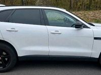 Gebraucht Jaguar F-Pace 165 PS (121 kW) 2017 Weiß SUV