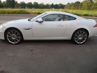 Gebraucht Jaguar XK 385 PS (283 kW) 2013 Polaris white Coupé