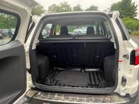 Gebraucht Ford Focus Sport 105 PS (77 kW) 2014 Weiß SUV