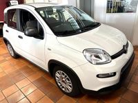 Gebraucht Fiat Panda 69 PS (50 kW) 2023 Weiß Kleinwagen