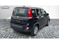 Gebraucht Fiat Panda 69 PS (50 kW) 2024 Kleinwagen